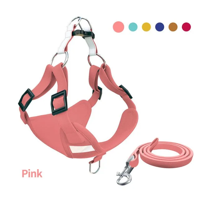 Adjustable Alloy D Buckle Dog Vest Leash