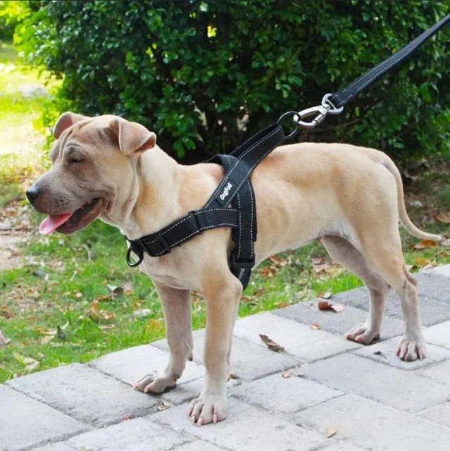 Adjustable Training Vest For Pet Dogs