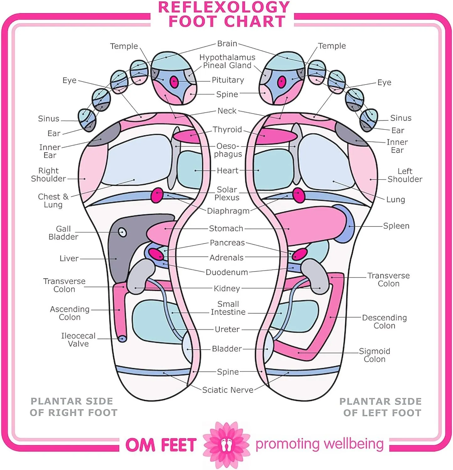 CafePress Reflexology Chart Tote Bag 2 Natural Canvas Tote Bag, Reusable Shopping Bag